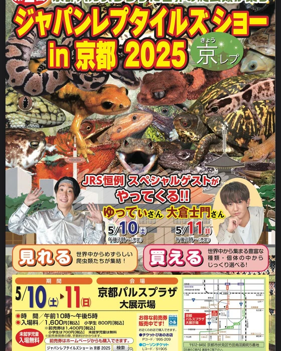 画像248
